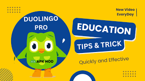 Duolingo